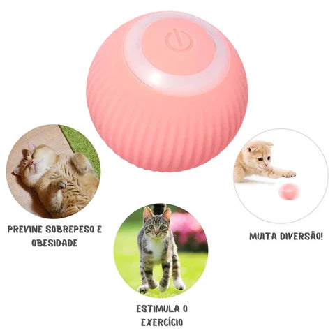 SmartBall™ - Bola inteligente para animais de estimação  Bicho de estimação  Brinquedo Bola Inteligente Elétrica Para Gatos  Bola Inteligente para Gatos Brinquedo Interativo  Bola Inteligente Elétrica para Gatos - SmartBall™  Bola Inteligente Elétrica para Gatos- SmartBall™ certeimagazine